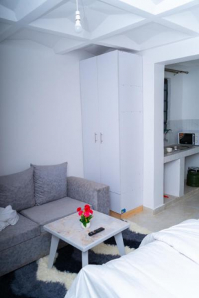 spacious modern studio apartment